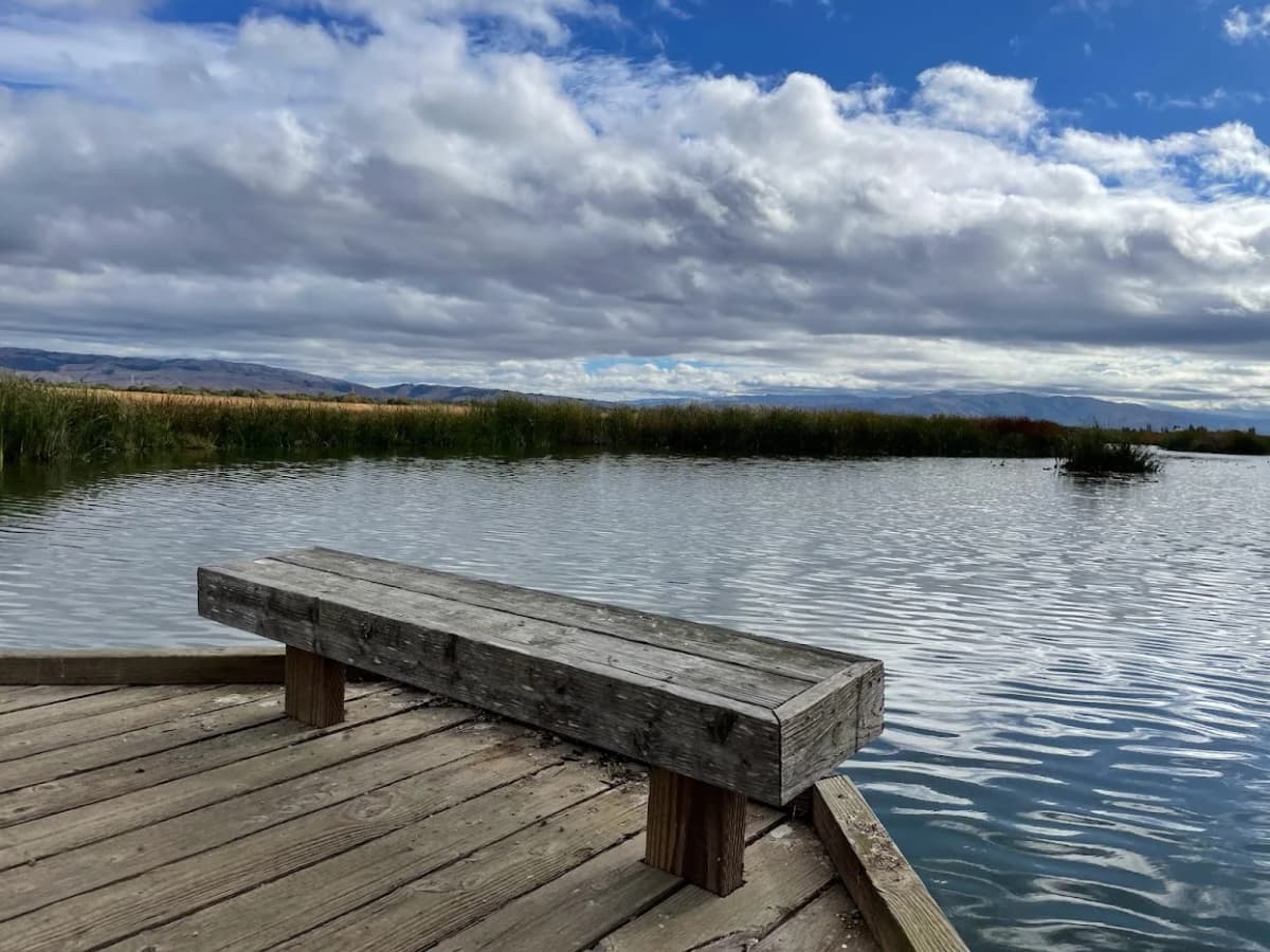 Coyote Hills — one of Fremont's favourite outdoor spaces
